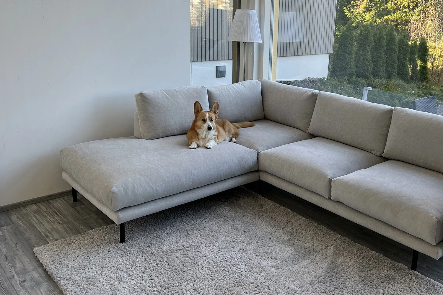 Asiakaskokemus<br>Riikka, Esko ja Topi