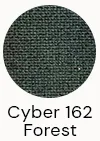 Cyber 162 Forest